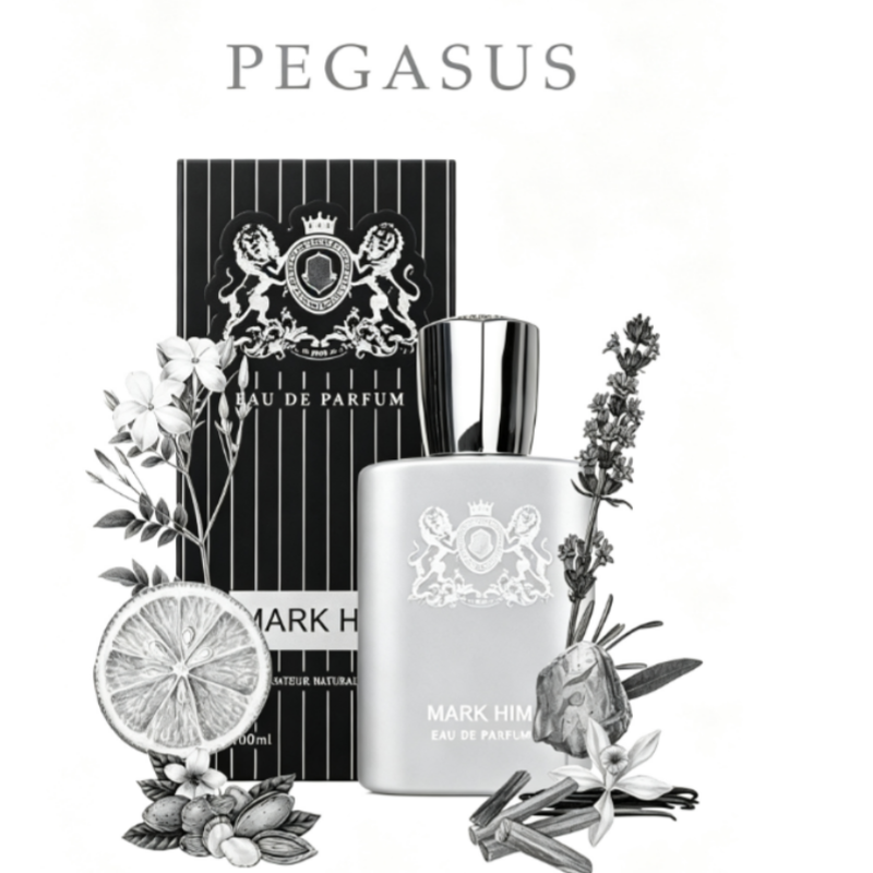 100ml 마크 히 남성 향수, 오래 지속되는 마그네틱 - Fragrance Perfume For Man 리뷰 및 가격