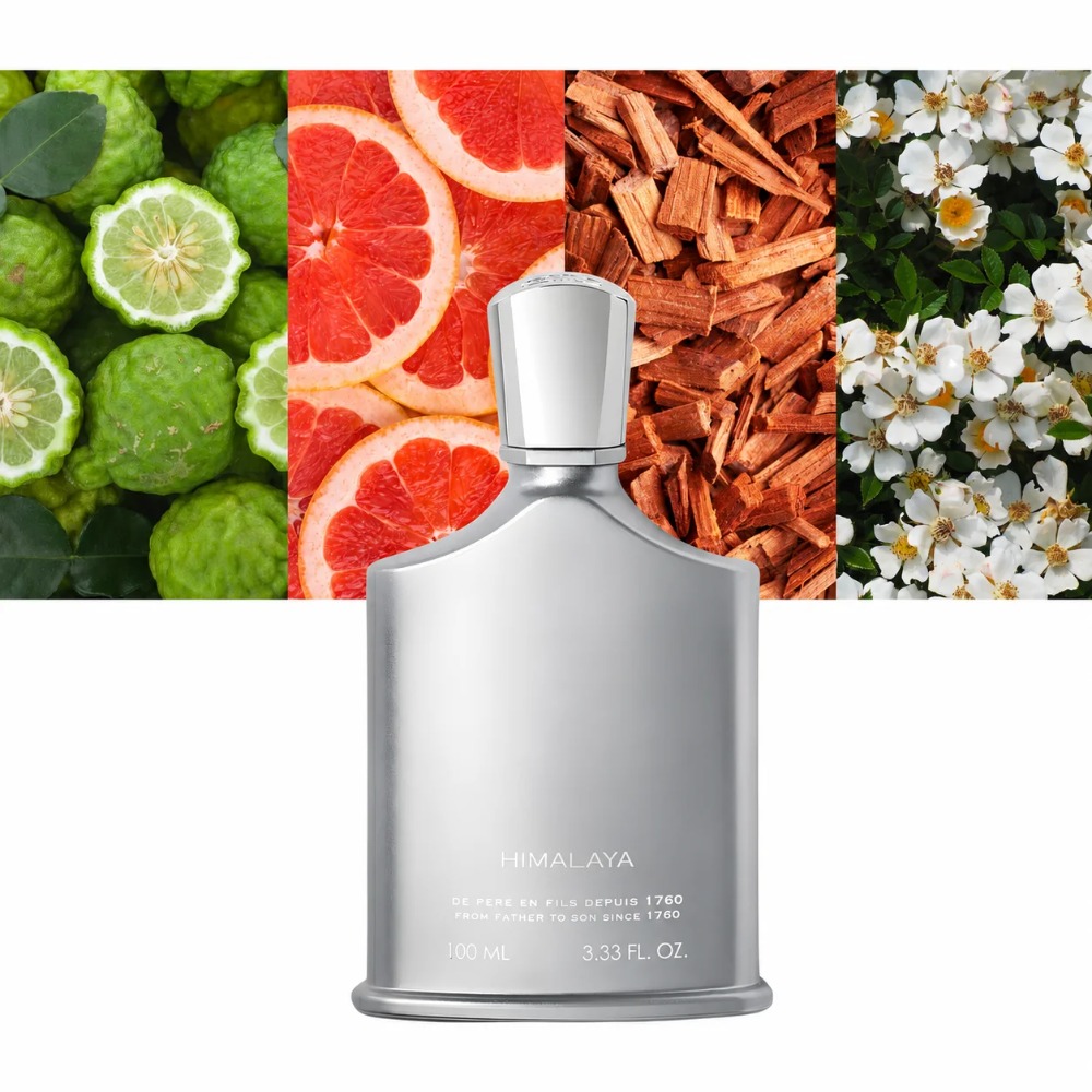 아벤투스 남성용 향수 100ml EDP 오래 지속되는  - Fragrance Perfume For Man 리뷰 및 가격