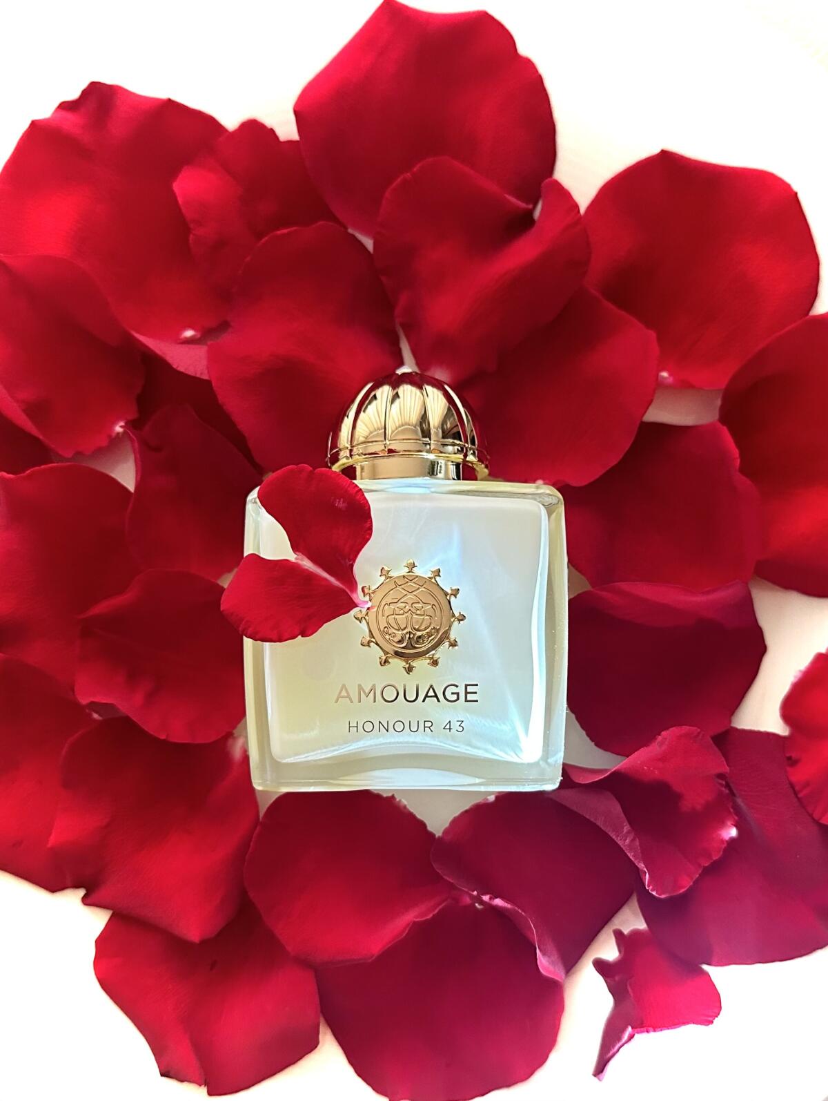 아무아쥬 아너 43 우먼 엑스트레 100ml 3.4oz - Perfume Fragrance Families 리뷰 및 가격