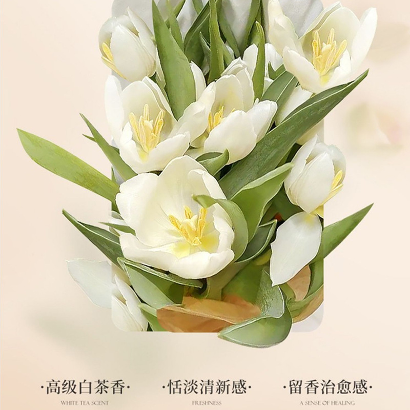 카멜리아 샤워젤 향수 향, 지속되는 보습, 상쾌함, 끈 - Perfume Fragrance Families 리뷰 및 가격