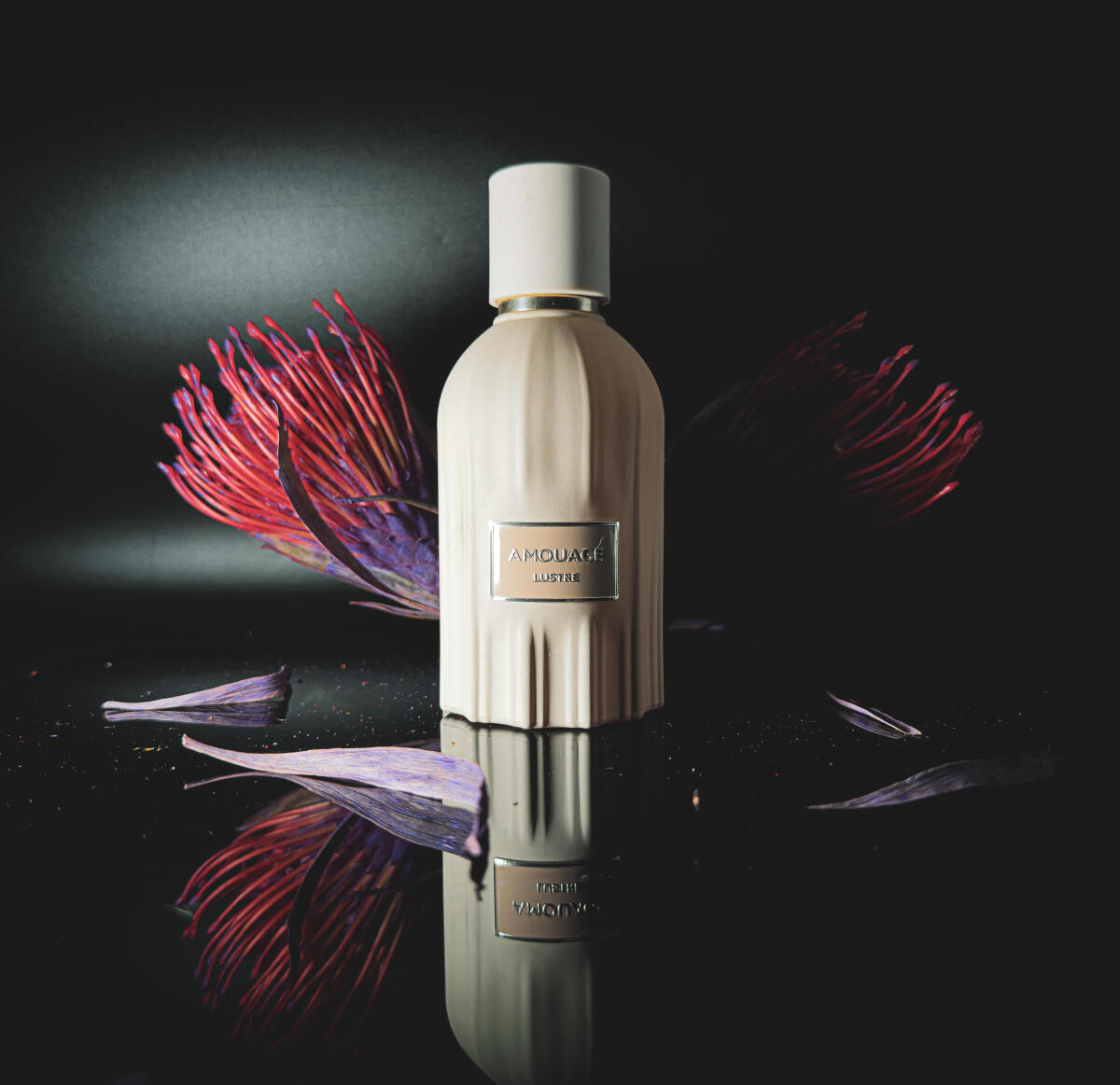 아무아쥬 러스트 향수 100ml 럭셔리하고 우아한 파우 - Perfume Fragrance Families 리뷰 및 가격